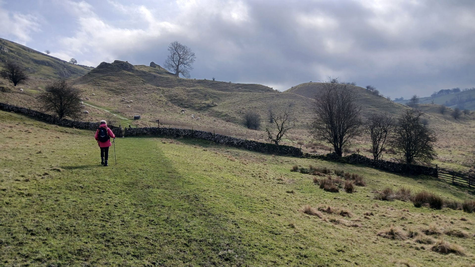 Pilsbury Castle from the north-west